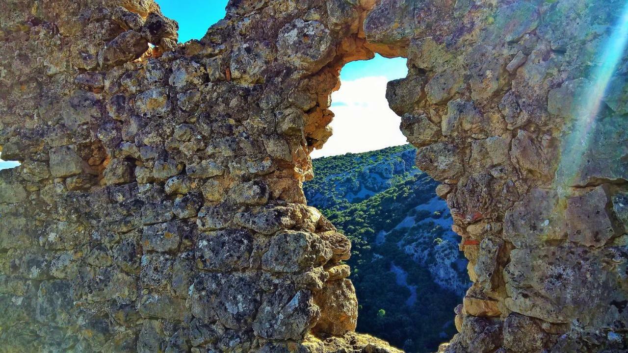 Les Studios De St Guilhem Saint-Guilhem-le-Desert Dış mekan fotoğraf