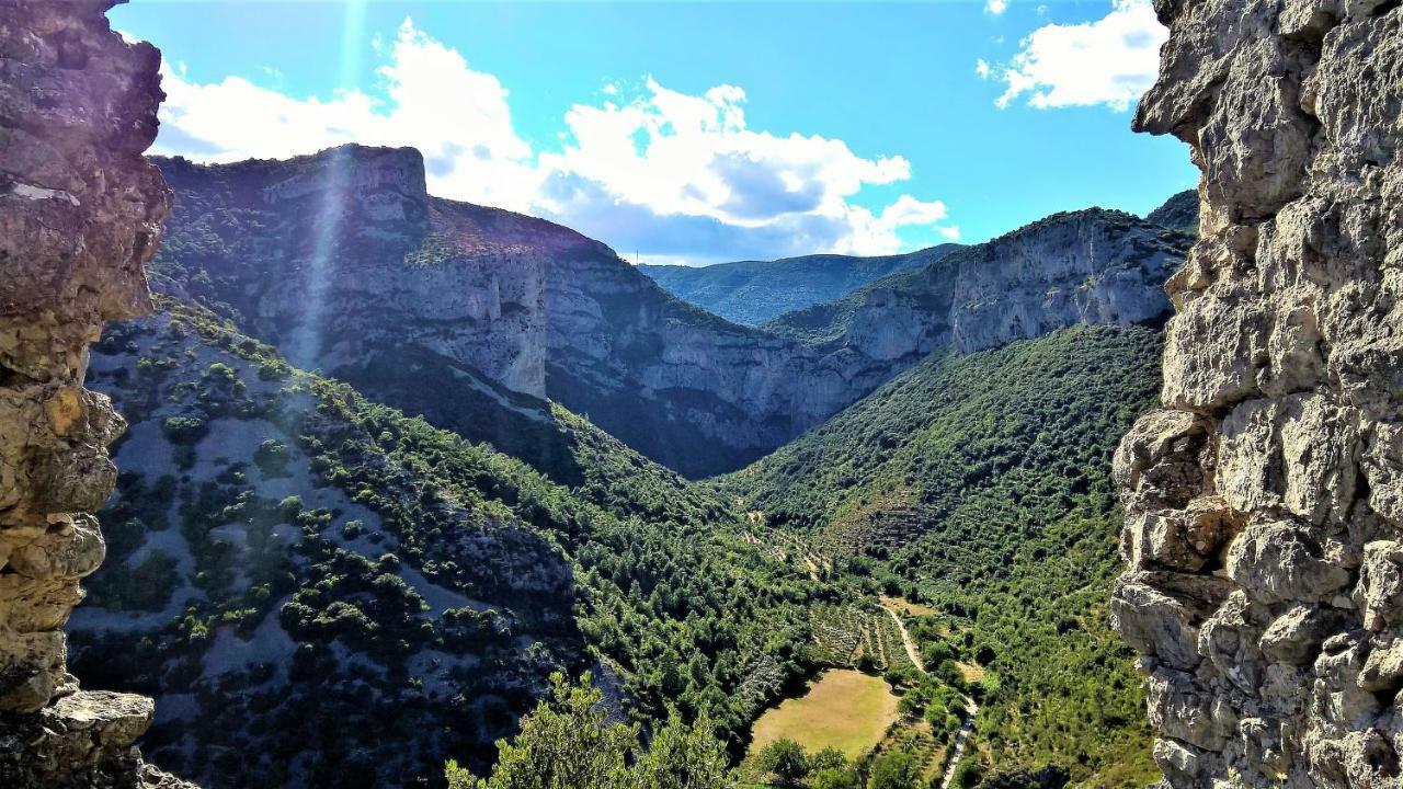 Les Studios De St Guilhem Saint-Guilhem-le-Desert Dış mekan fotoğraf