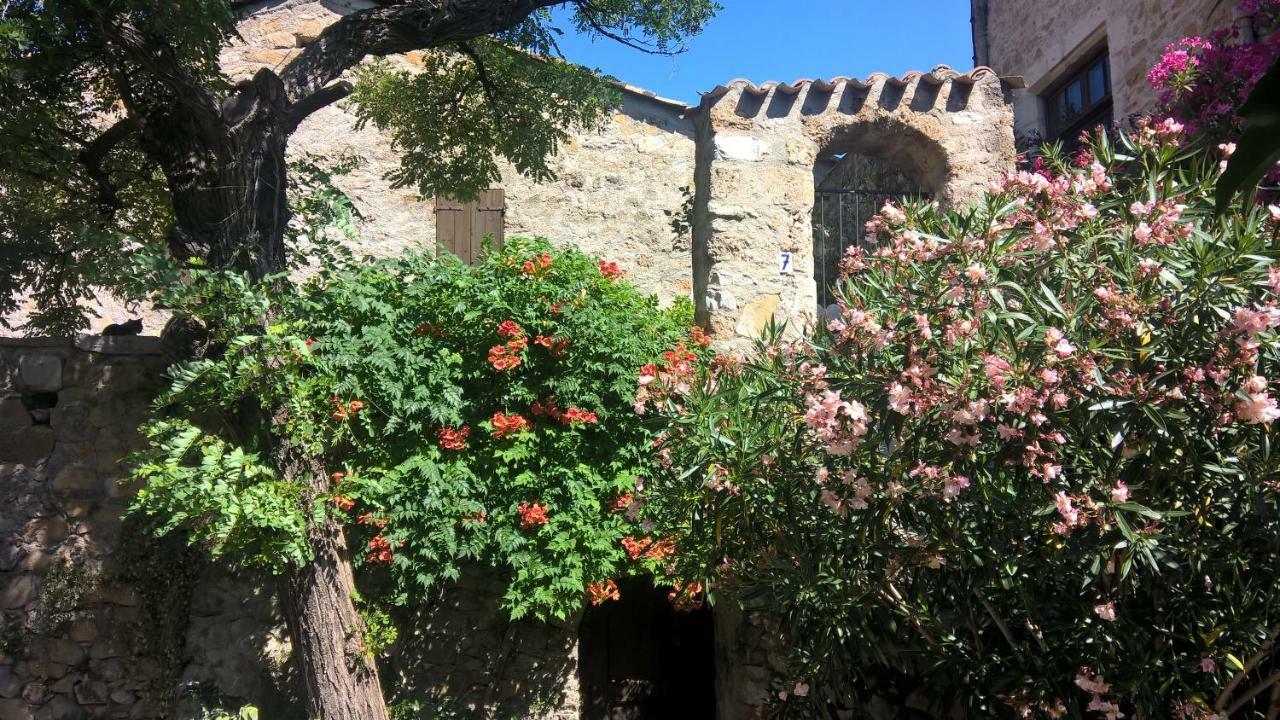 Les Studios De St Guilhem Saint-Guilhem-le-Desert Dış mekan fotoğraf