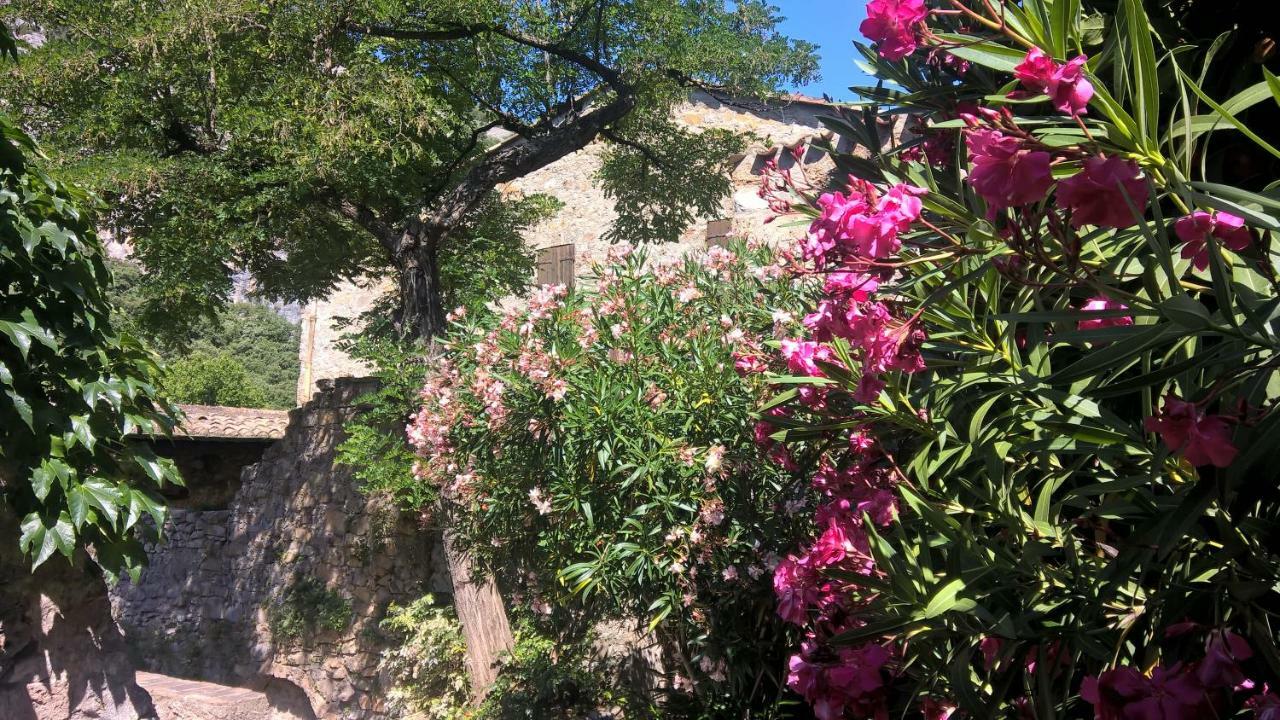 Les Studios De St Guilhem Saint-Guilhem-le-Desert Dış mekan fotoğraf