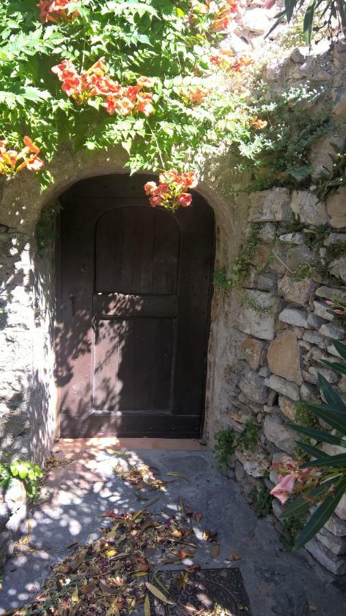 Les Studios De St Guilhem Saint-Guilhem-le-Desert Dış mekan fotoğraf